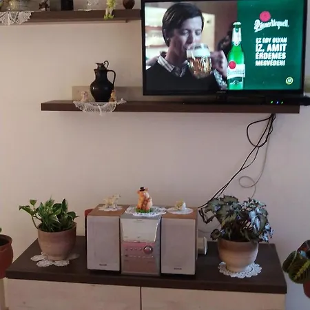 Csicsergo Apartman Lakas Apartament Héviz