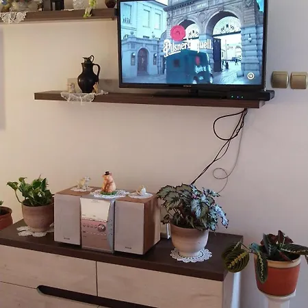 Csicsergo Apartman Lakas Héviz