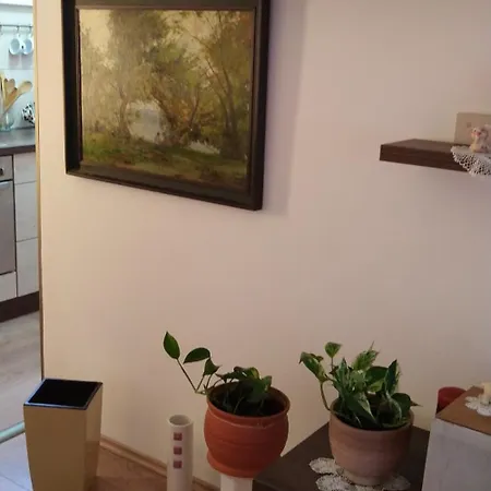 Csicsergo Apartman Lakas
